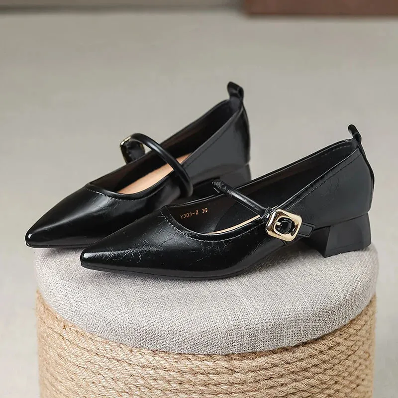binfenxie  -  Fashion Shoes for Women Classic British Style Mary Jane Shoes Pointed Toe Women Casual Shoes Concise Comfortable Leather Shoe