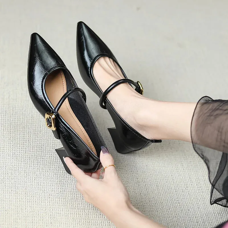 binfenxie  -  Fashion Shoes for Women Classic British Style Mary Jane Shoes Pointed Toe Women Casual Shoes Concise Comfortable Leather Shoe