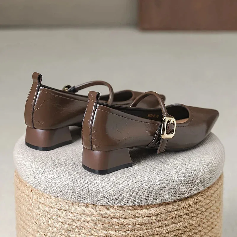 binfenxie  -  Fashion Shoes for Women Classic British Style Mary Jane Shoes Pointed Toe Women Casual Shoes Concise Comfortable Leather Shoe