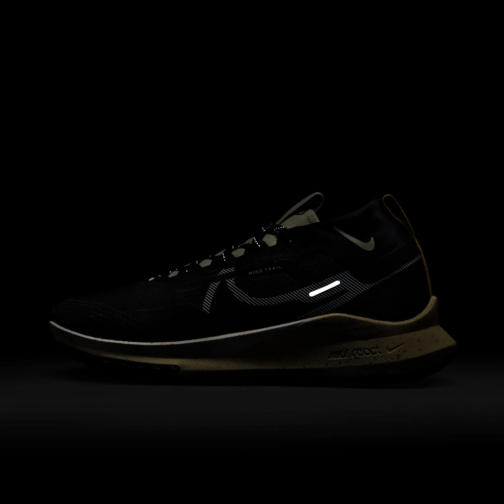 React Pegasus Trail 4 Gore-Tex - Men's